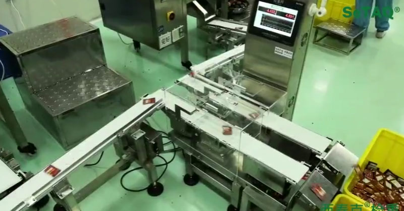 西泰克雙列皮帶秤檢測藥包重量 檢重視頻 